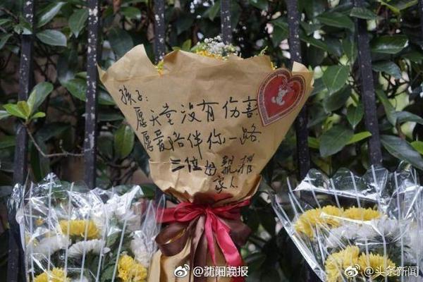 成年人在线观看视频官网安卓版