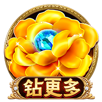 星空娱乐IOS版
